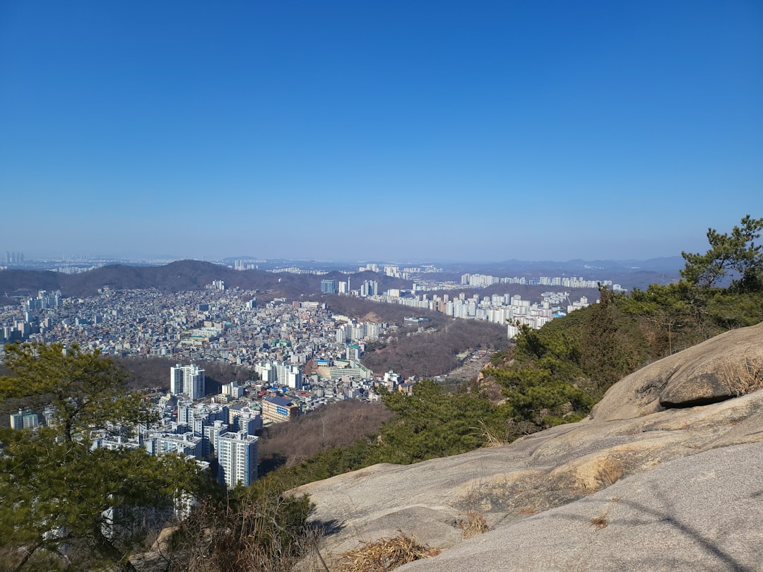 허리아플때운동 참고 이미지 2