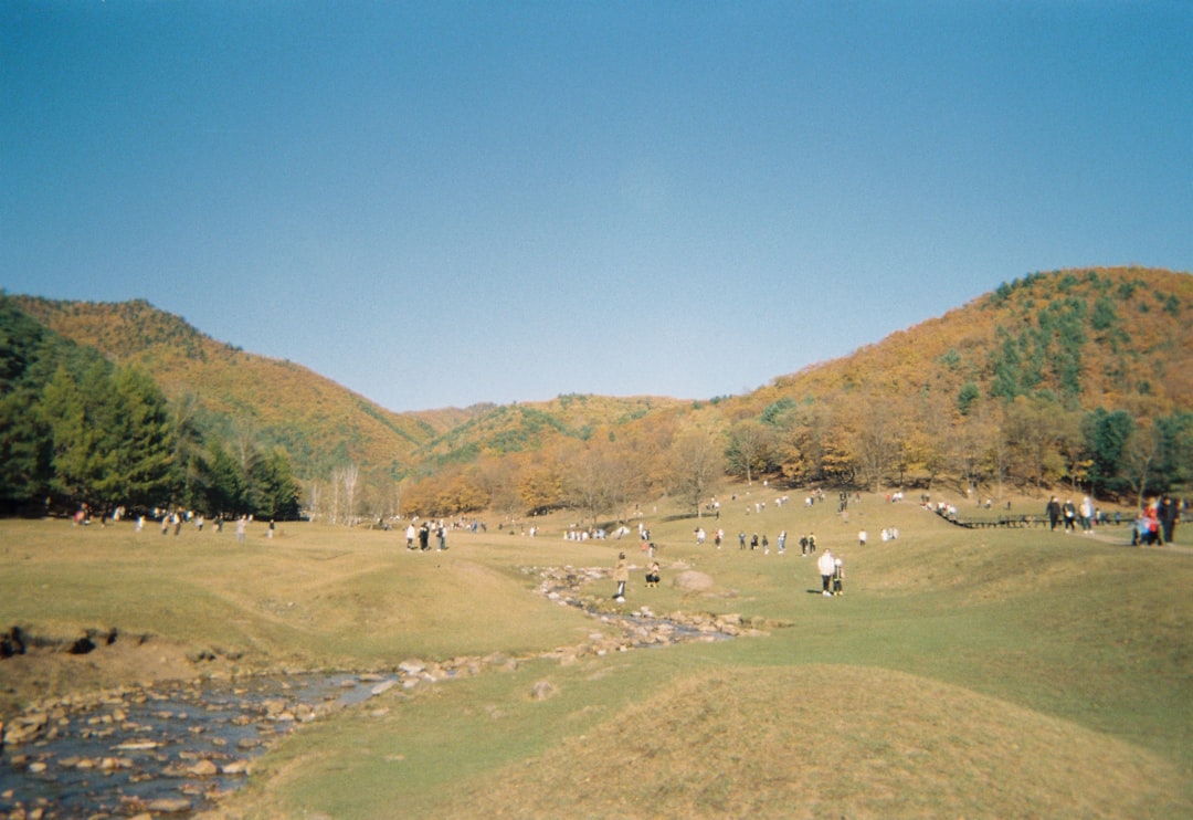 골프회원권거래소 참고 이미지 2