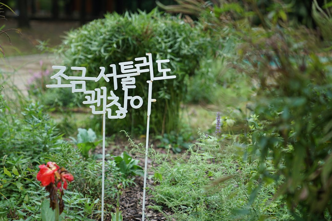 현대무용 참고 이미지 2
