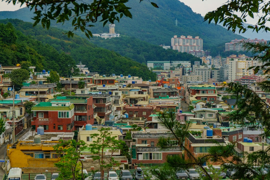 운동기구추천 참고 이미지 2